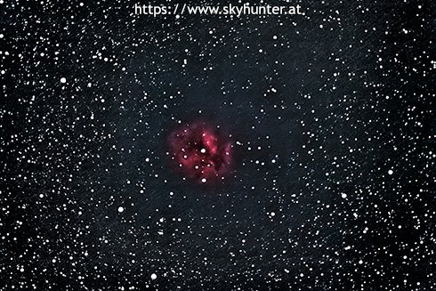 Cocoon Nebula
