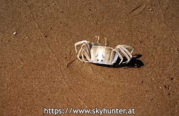 Am Strand